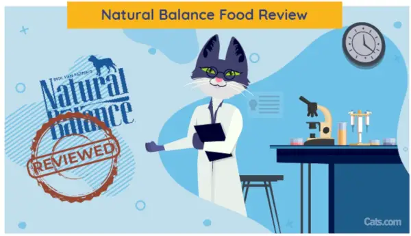 Revisión de comida para gatos Natural Balance