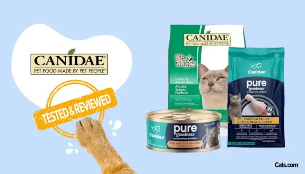 Revisión de comida para gatos Canidae