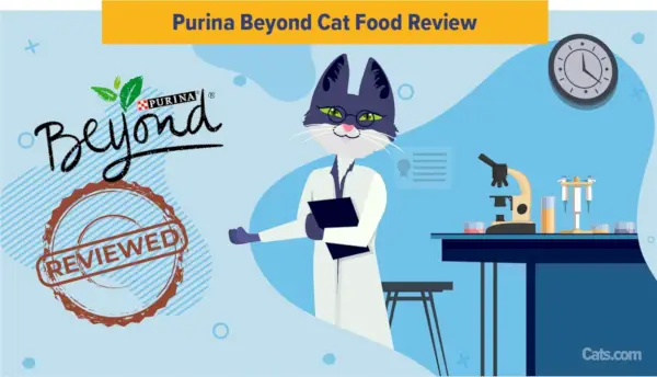 Purina Beyond Katzenfutter-Rezension