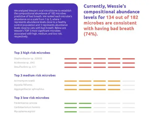 Visuele weergave van een kat met een slechte adem, wat de relevantie van mondhygiëne en regelmatige veterinaire evaluaties onderstreept om potentiële tandheelkundige en gezondheidsproblemen aan te pakken die gevolgen hebben voor een kat