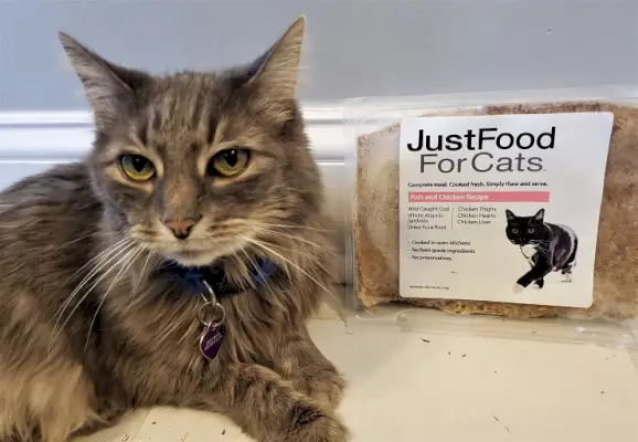 Just Food For Cats recension