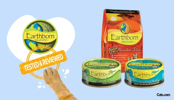 Earthborn Cat Food recenze