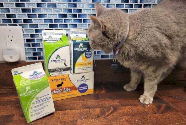 Svar Cat Food Review