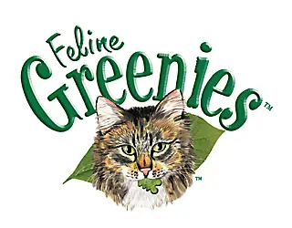 Revisão de guloseimas para gatos felinos Greenies