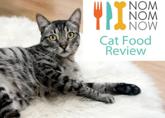 Nom Nom Chicken Chow-Meow e kit di test del microbioma Recensione imparziale