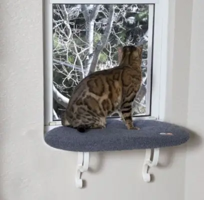 K&H מוצרי חיות מחמד Kitty Sill Cat Window Perch