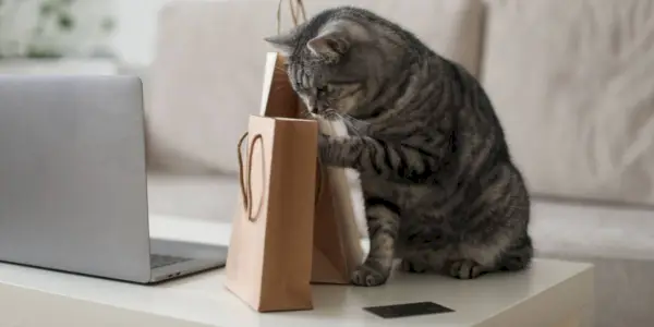 Un chat tigré gris regardant des sacs en papier kraft