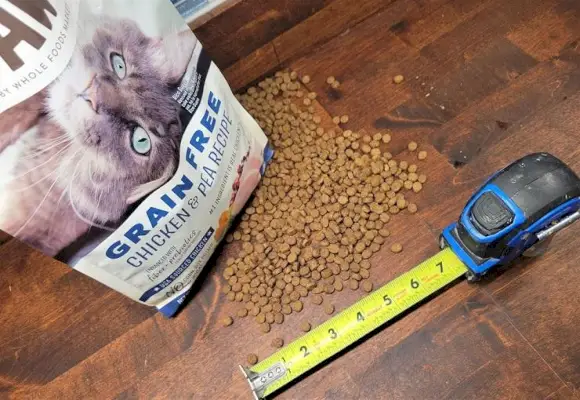 Évaluation de la taille des croquettes rondes Whole Paws pour chats