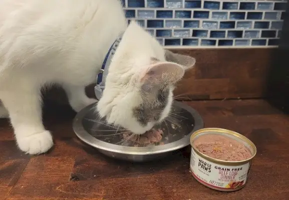 Whole Paws Getreidefreies Rinderbrot-Dinner mit Gemüse, Nassfutter für Katzen