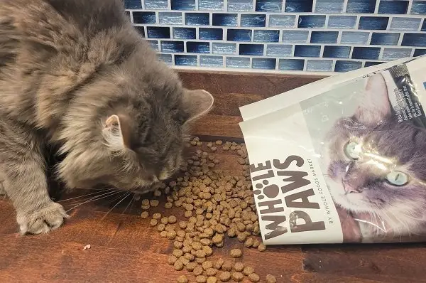 Whole Paws Graanvrij Kip & Erwten Recept Droog kattenvoer