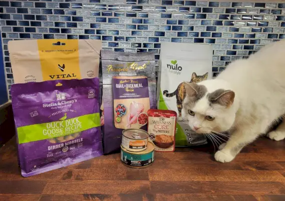 Las mejores fórmulas de comida para gatos con pato