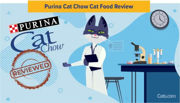 סקירת Purina Cat Chow