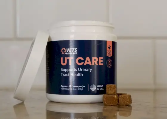 Dyrlæger Preferred Cat Urinway Chews Review