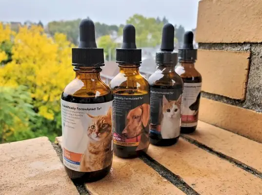 RestoraPet CBD Review