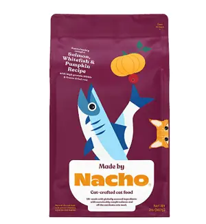 Logo realizzato da Nacho