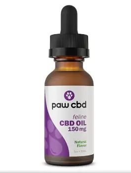 Kediler için Paw CBD Yağı Tentürü