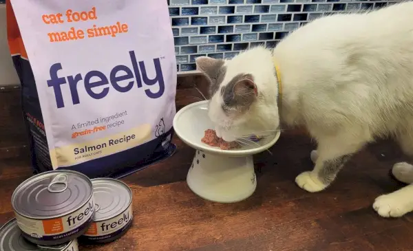 Freely Cat Food Review