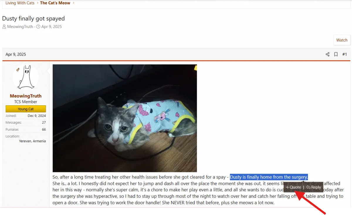 Jak cytować posty, odpowiadając na forach' title=