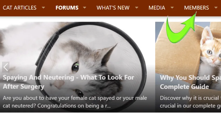 Como ter uma conversa privada com alguém (também conhecido como mensagem direta ou DM)' title=