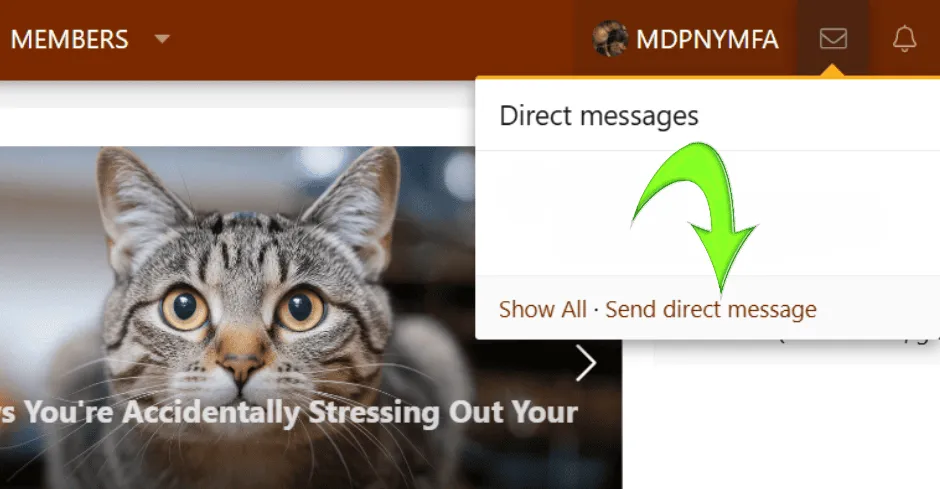 Como ter uma conversa privada com alguém (também conhecido como mensagem direta ou DM)' title=