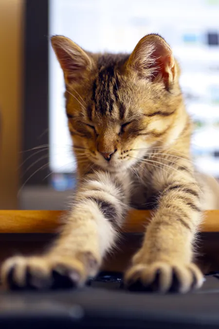 9 نصائح سريعة لتجربة منتدى أكثر ودية ومتعة