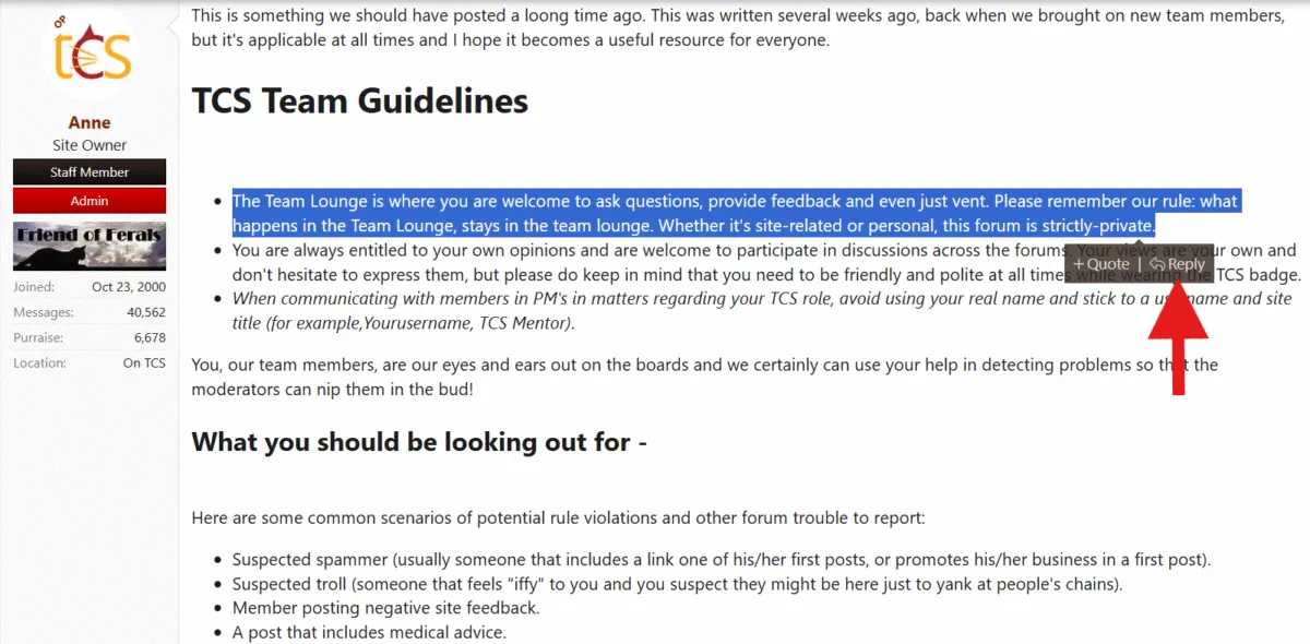 Kuinka lainata viestejä, kun vastaat foorumeille