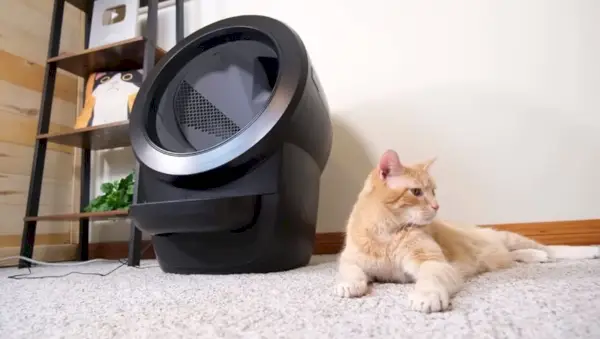 Robot per lettiera e gatto arancione