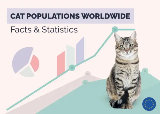 Quants gats de companyia hi ha al món? Estadístiques actualitzades 2024