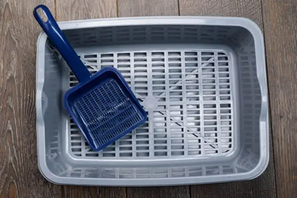 Sifting litter box